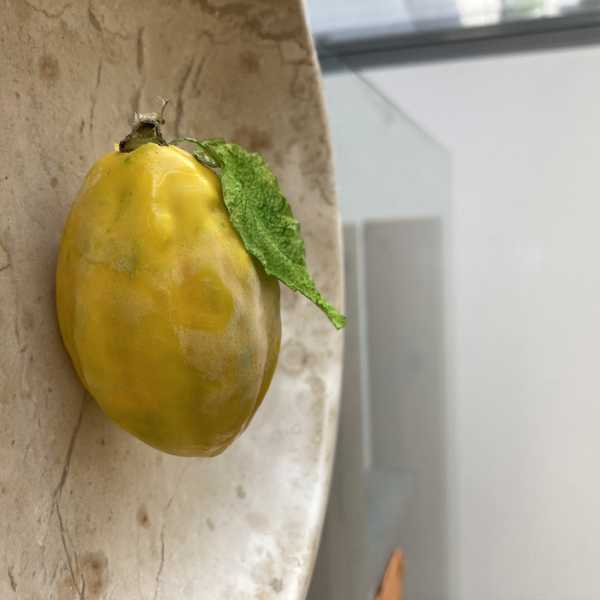 Fruchtdesserts – moderne französische Patisserie 