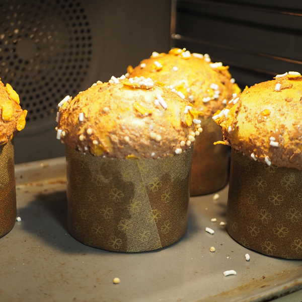 Panettone Kurs