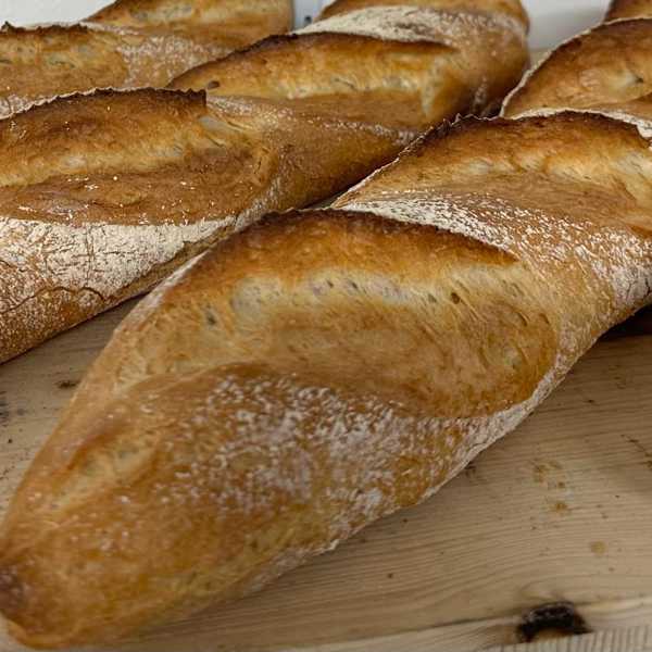 Brote mit Biga und fermentierter Teig