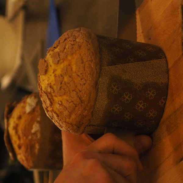 Panettone Kurs